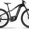 Haibike HardNine 10 I625Wh Titan/black Matte E-Bike Hardtail Mountainbike