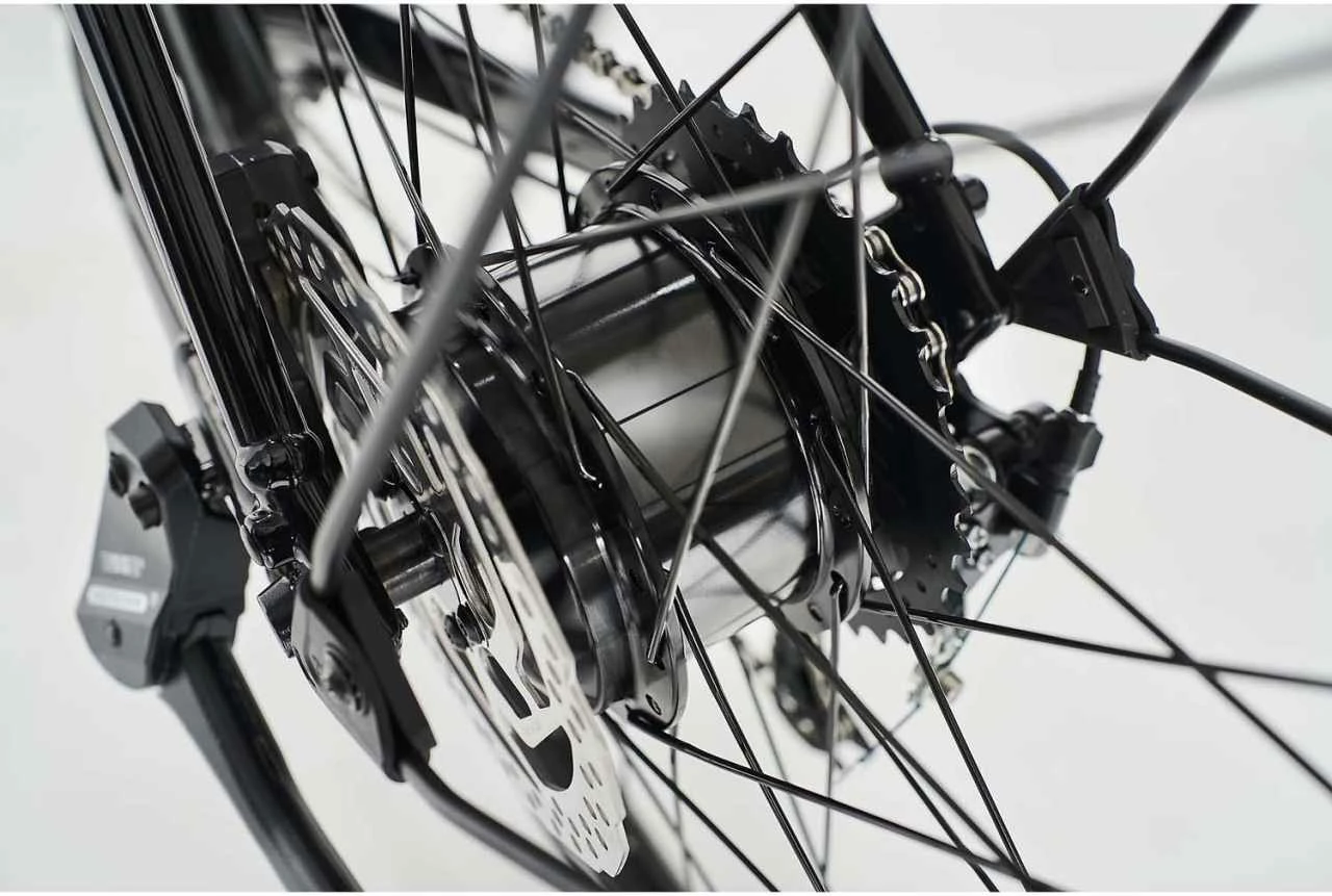 Diamant 365 (Highstep) Tiefschwarz 2023 - E-Bike Trekkingrad Herren - Image 3