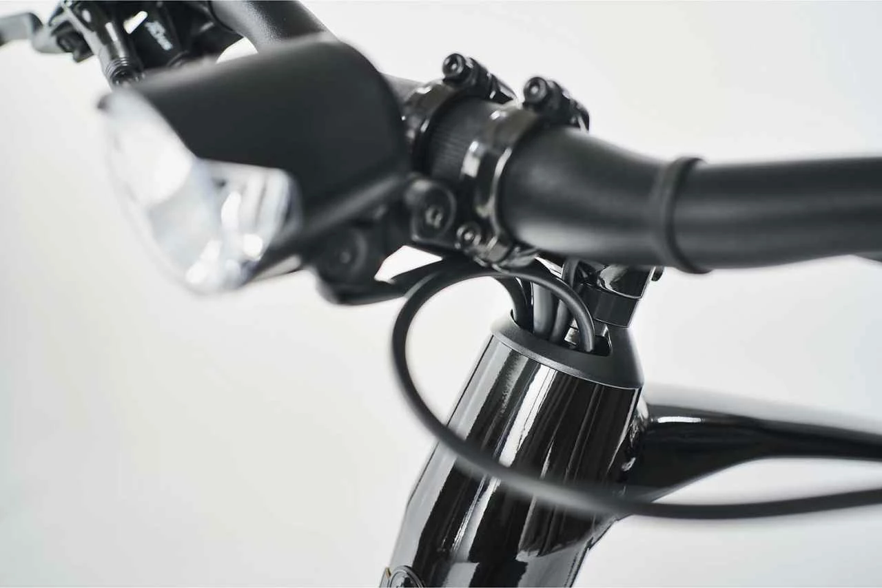 Diamant 365 (Highstep) Tiefschwarz 2023 - E-Bike Trekkingrad Herren - Image 4