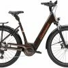 Diamant Mandara 160 Gen 3 TIE 545Wh Berninabraun Metallic Touring E-Bike Easy Entry