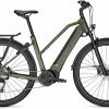 Kalkhoff Entice 5.B Season Urbangreen Matt Damen E-Bike Hardtail Mountainbike Women