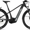 Ghost E-Teru B Advanced EQ Titanium Gray / Light Blue Gray Pearl Matt E-Bike Hardtail Mountainbike