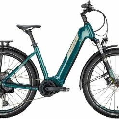 Conway Cairon SUV 3.0 625 Moos Metallic / Platin Matt E-Bike Hardtail Mountainbike Easy Entry